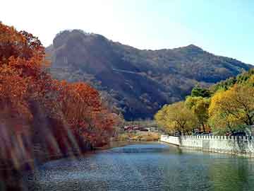 管家婆免费正版资起大全，深圳流水线